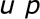 u p