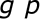 g p